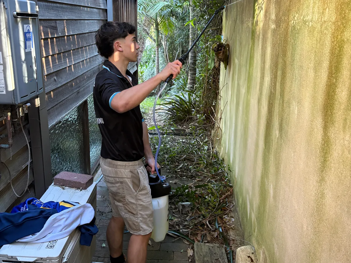 Mould & Mildew Removal, AW Pressure Washing, Sydney