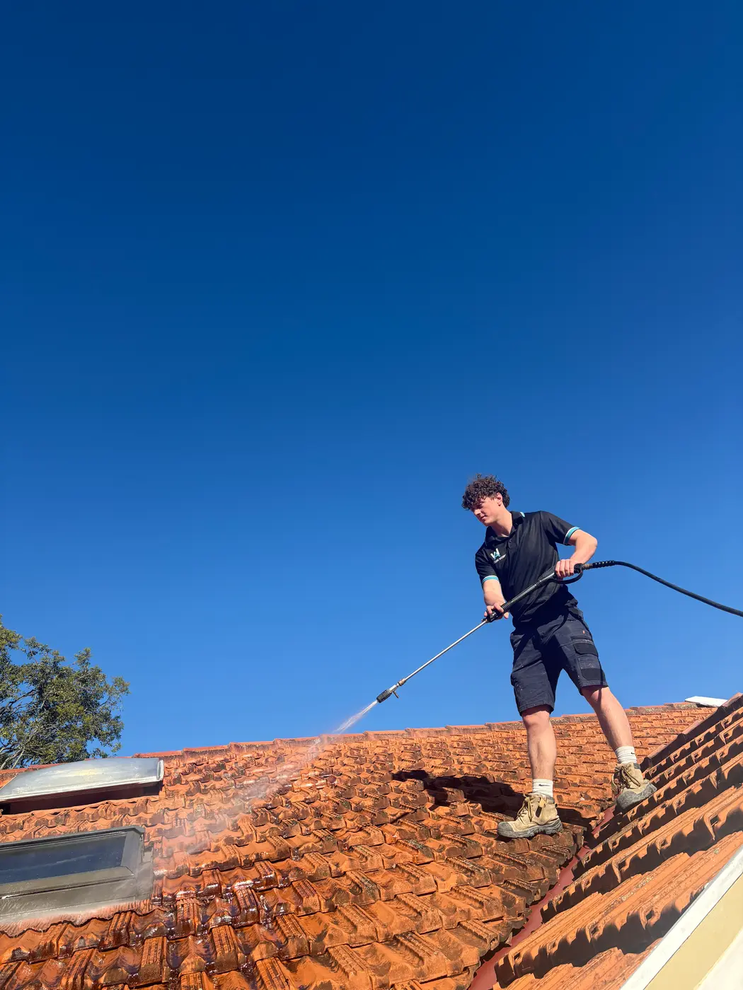 AW technician soft-washing moss and lichen off a tiled roof in Sydney
