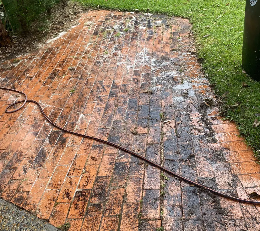 Brick paving before cleaning — covered in black mould and leaf litter