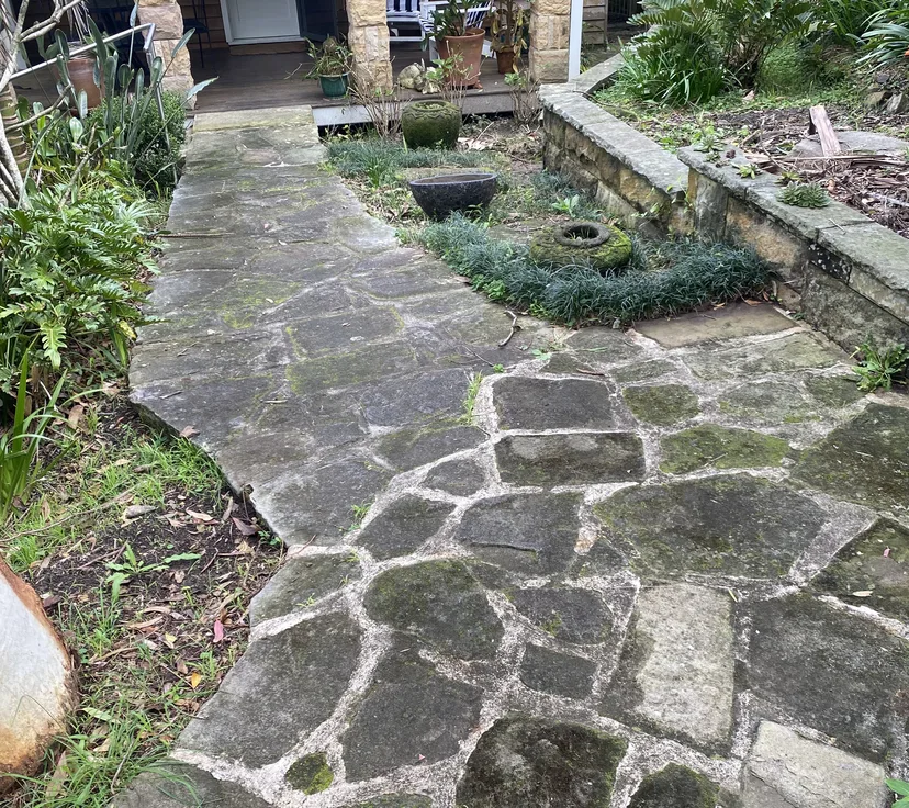 Sandstone front path, before cleaning