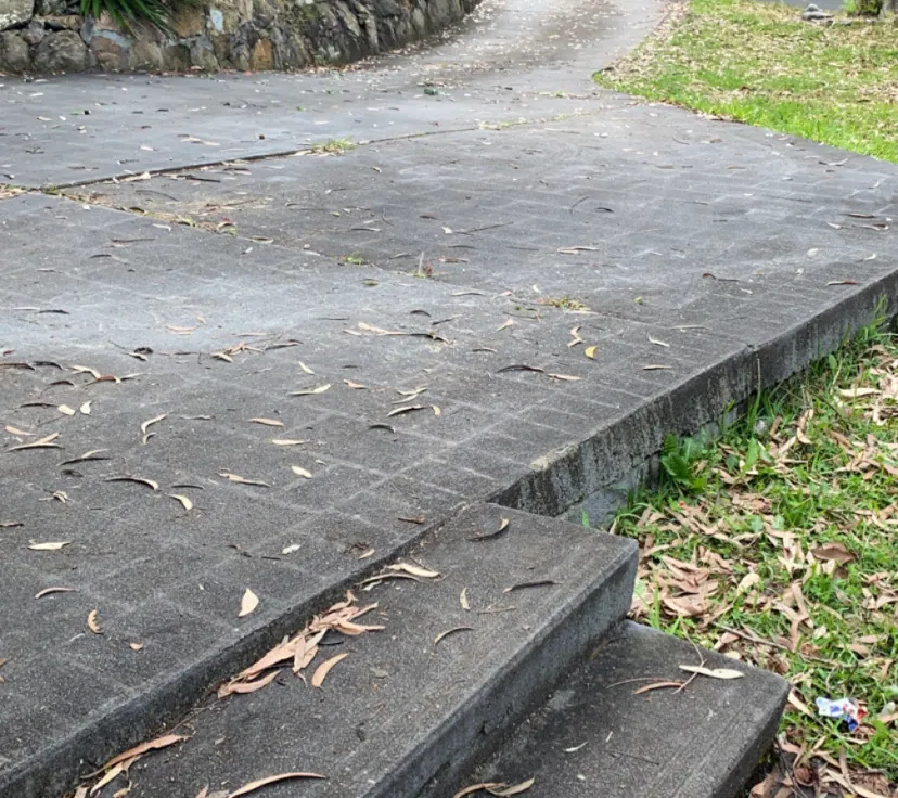 Concrete driveway before cleaning — grey and weathered with leaf debris