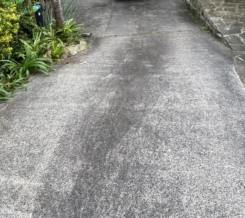 Concrete driveway, before cleaning