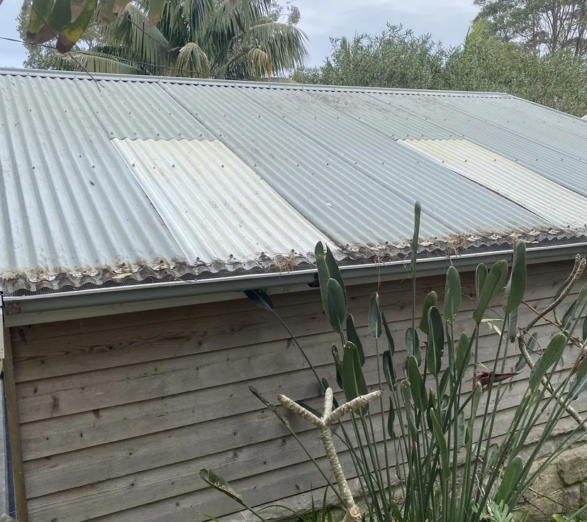 Corrugated metal roof with moss and grime, after cleaning by AW Pressure Washing