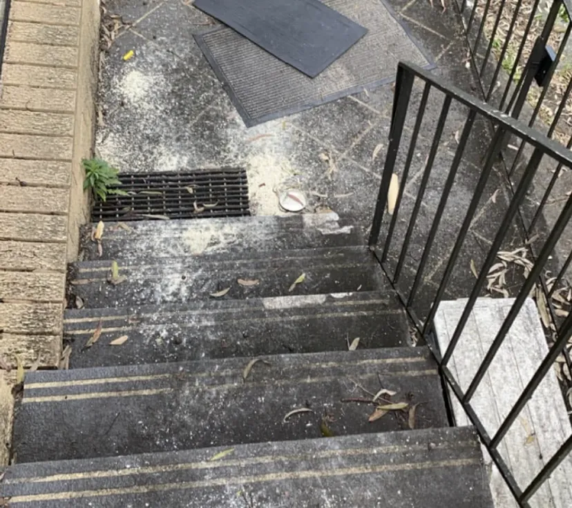 Tiled entry and stairs before cleaning, covered in dirt, mould and leaf litter