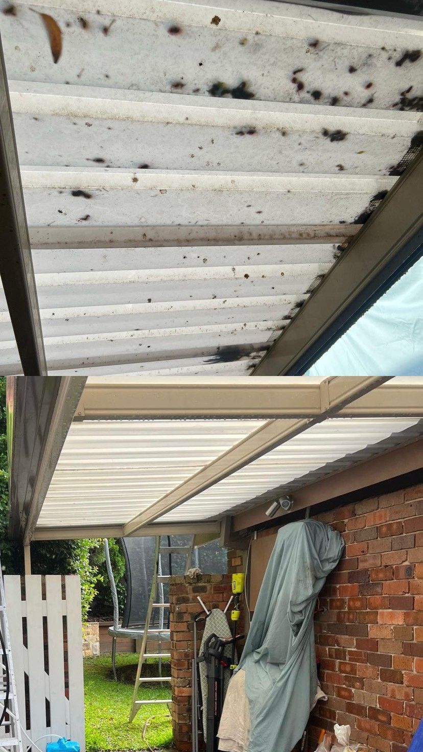 Patio roof and awning underside — before and after cleaning, Sydney